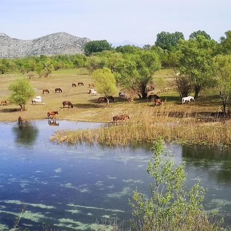 Wild Beauty House Skadar Lake Cetinje Exteriör bild