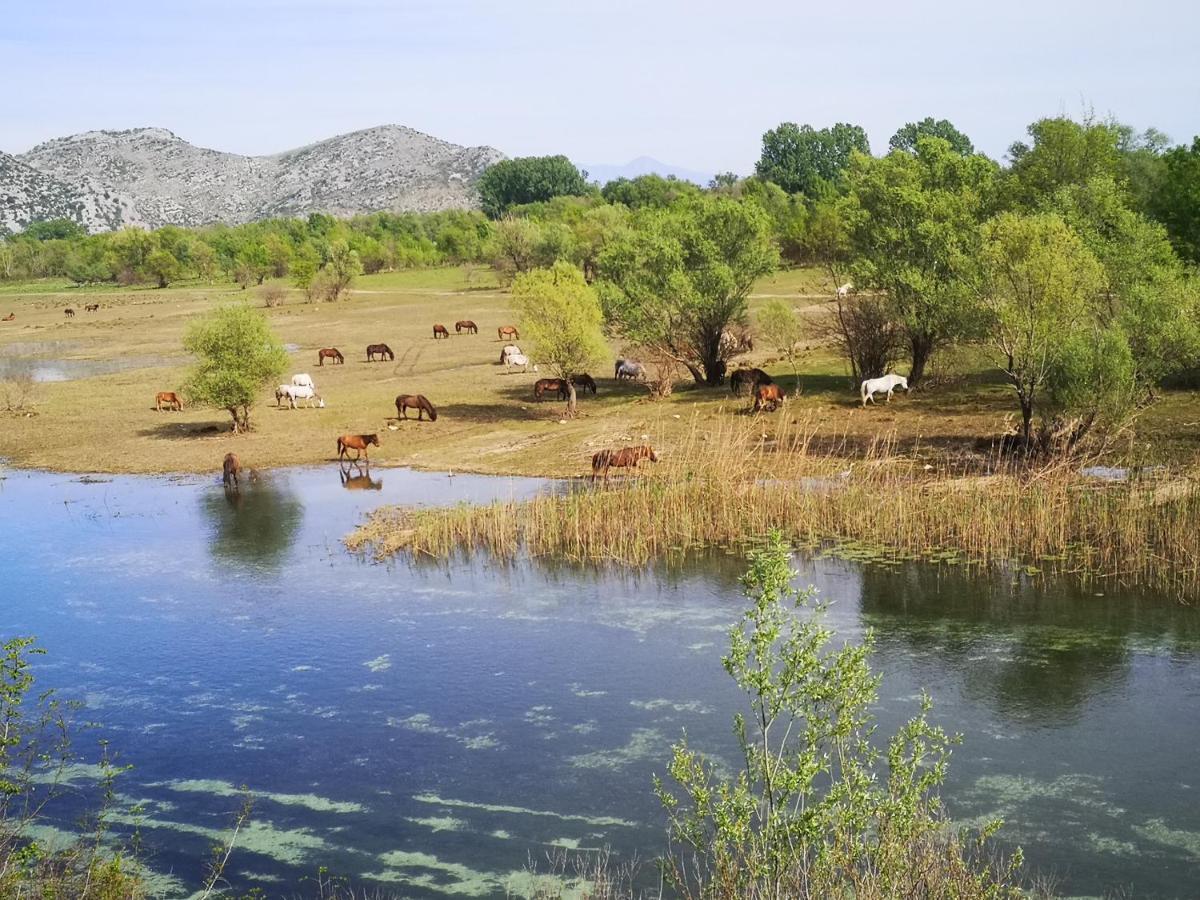 Wild Beauty House Skadar Lake Cetinje Exteriör bild