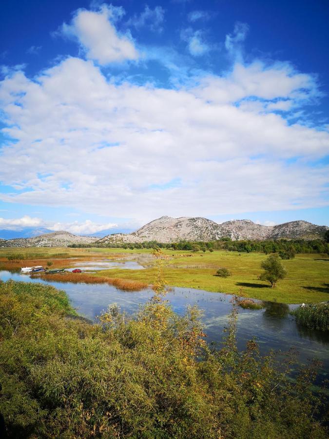 Wild Beauty House Skadar Lake Cetinje Exteriör bild