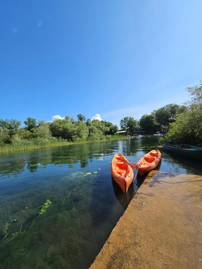 Wild Beauty House Skadar Lake Cetinje Exteriör bild